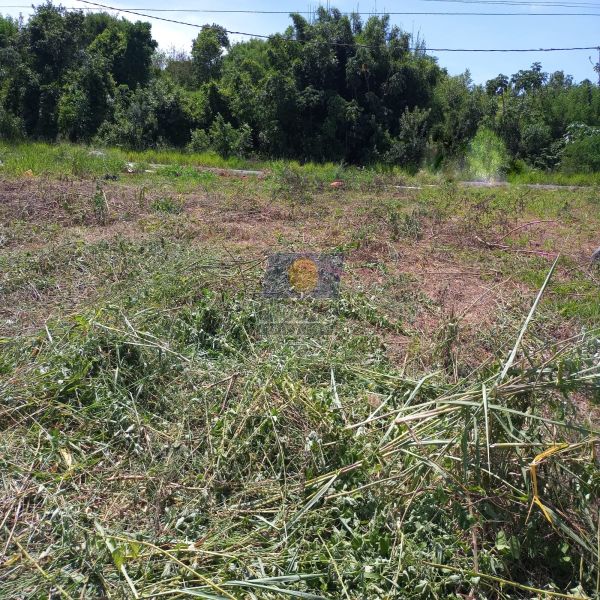 Terreno código CI-209 no bairro Vila Clementina - São José do Rio Preto